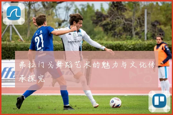 弗拉门戈舞蹈艺术的魅力与文化传承探究