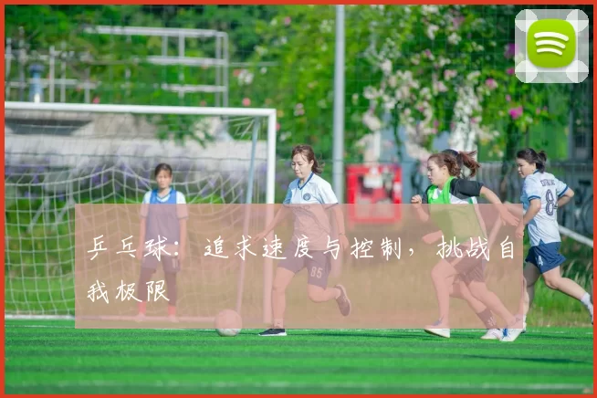乒乓球：追求速度与控制，挑战自我极限