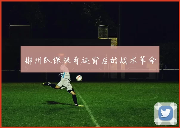 郴州队保级奇迹背后的战术革命