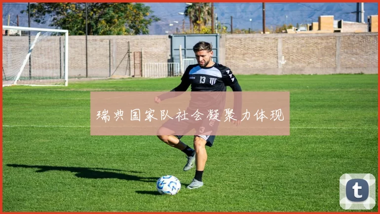 瑞典国家队社会凝聚力体现