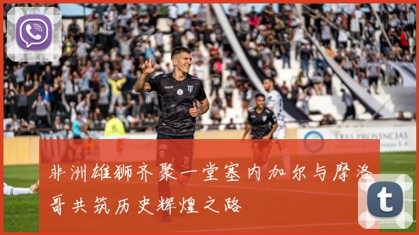 非洲雄狮齐聚一堂塞内加尔与摩洛哥共筑历史辉煌之路