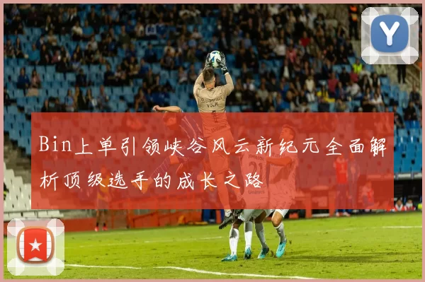 Bin上单引领峡谷风云新纪元全面解析顶级选手的成长之路