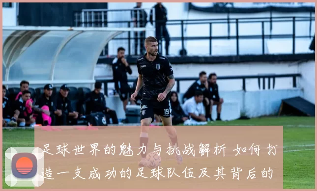 足球世界的魅力与挑战解析 如何打造一支成功的足球队伍及其背后的策略