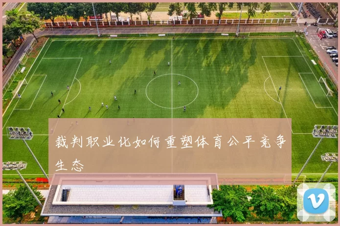 裁判职业化如何重塑体育公平竞争生态