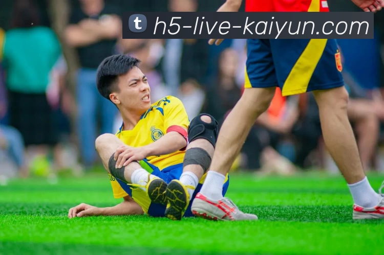 开云kaiyunAPP 高清赛事图